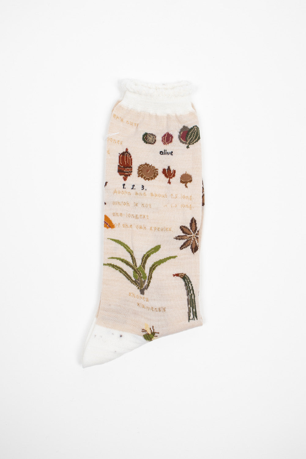 AM-773 Botanical XV Socks Ivory