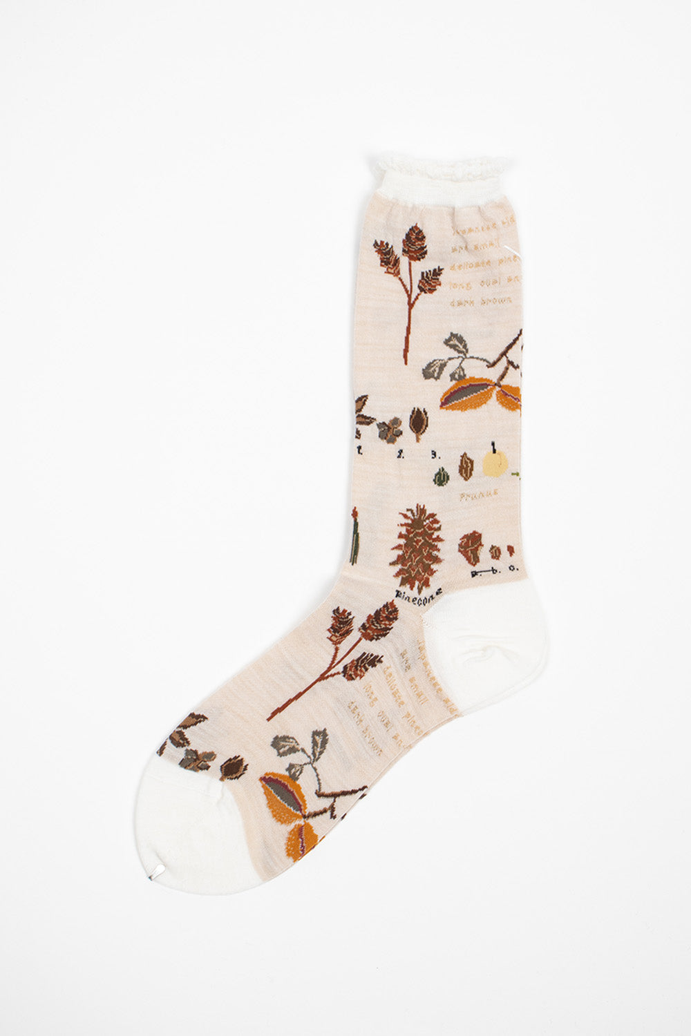 AM-773 Botanical XV Socks Ivory