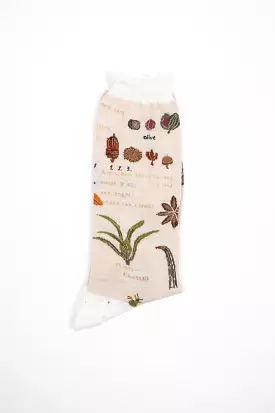 AM-773 Botanical XV Socks Ivory