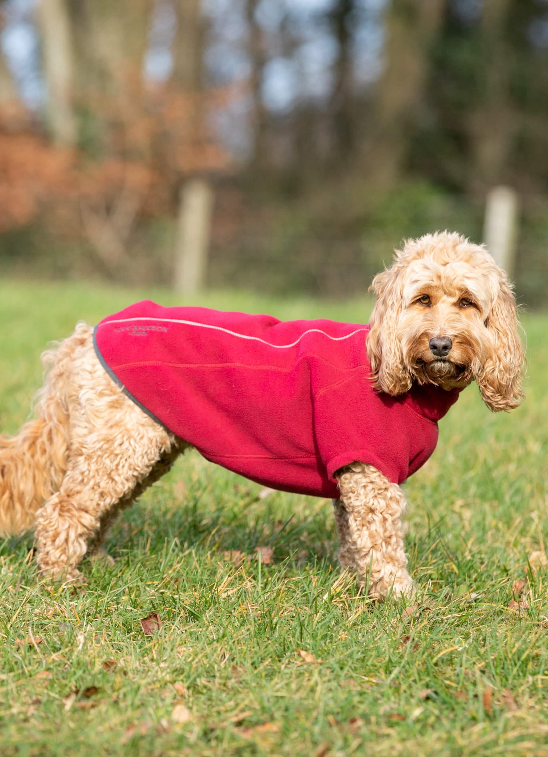 Cosy Warm Fleece Dog Jacket - Burgundy