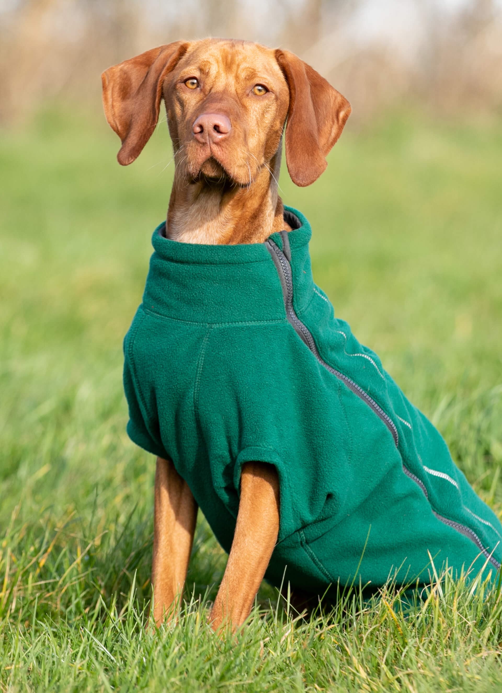 Cosy Warm Fleece Dog Jacket - Forest Green